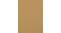 Velour 260 g papier do pasteli - beżowy- sklep dla plastyków Gart